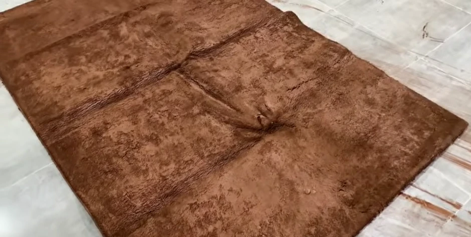 Missoula carpet before cleaning