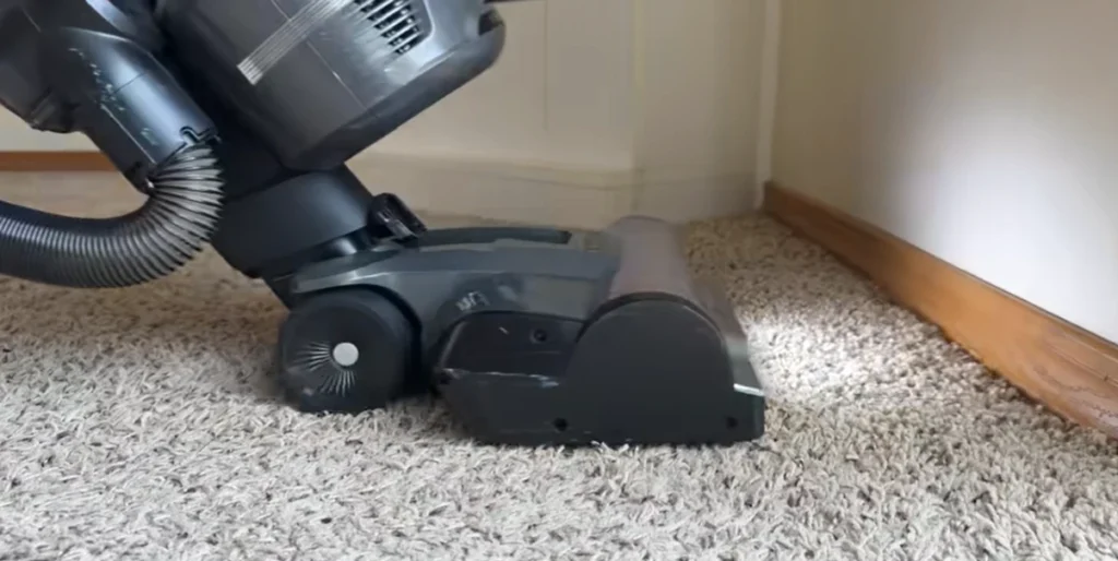 Carpet cleaning in Missoula mt